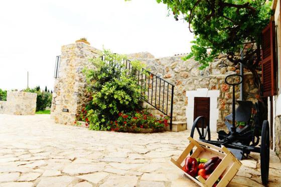 Son Ramon Holiday home
